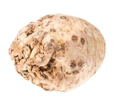 Kereviz kökü beyaz arkaplanda izole edildi