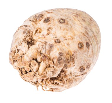 Kereviz kökü beyaz arkaplanda izole edildi