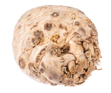 Kereviz kökü beyaz arkaplanda izole edildi