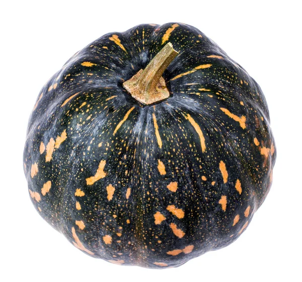 Striped pumpkin on white background — Stock Photo, Image