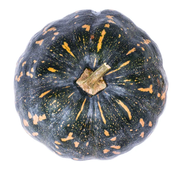 Striped pumpkin on white background — Stock Photo, Image