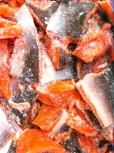 Trozos de filete de salmón congelado — Foto de Stock