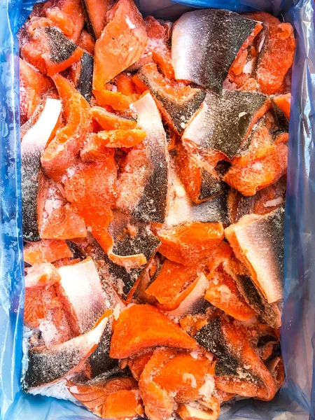 Fillet pieces of frozen salmon