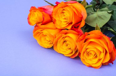 Metin, arka plan için tebrik kartı için bir yer parlak zemin üzerine gül buketi