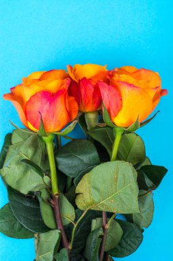 Metin, arka plan için tebrik kartı için bir yer parlak zemin üzerine gül buketi