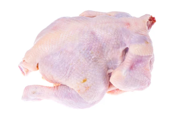 Carcasse de poulet isolée sur blanc — Photo