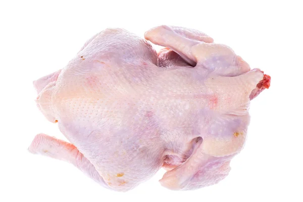 Carcasse de poulet isolée sur blanc — Photo