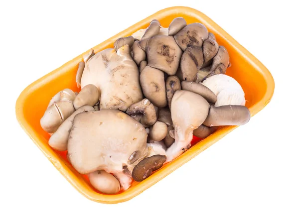 Świeże grzyby boczniaki w plastikowym pojemniku — Zdjęcie stockowe