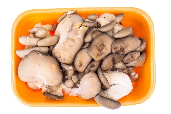 Champignons frais champignons huîtres dans un récipient en plastique — Photo