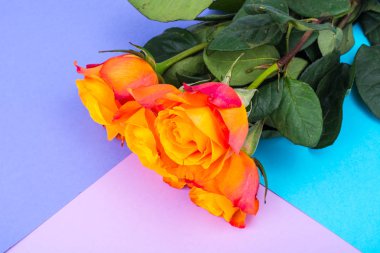 Metin, arka plan için tebrik kartı için bir yer parlak zemin üzerine gül buketi