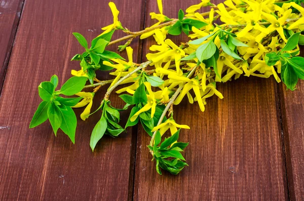 Takken met gele bloemen en groene bladeren op houten achtergrond — Stockfoto