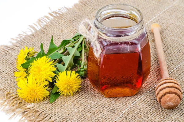 Medicinal plants, dandelion, flowers, honey in glass jar