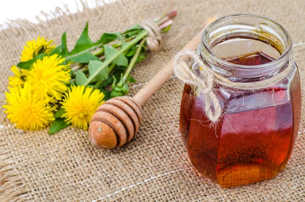 Medicinal plants, dandelion, flowers, honey in glass jar — Stock Photo, Image