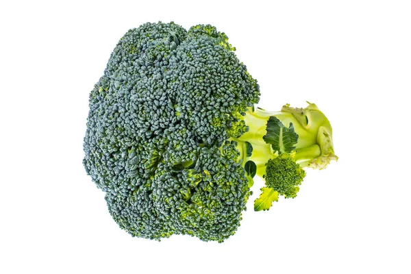 Rauwe verse biologische broccoli — Stockfoto