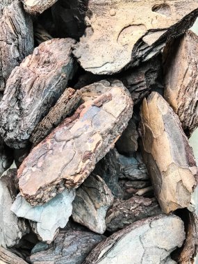 Ağaç kabuğu dan dekoratif cips