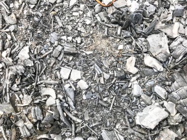 Yakılan ahşap günlükleri, yakacak odun, şömine, kömürleri