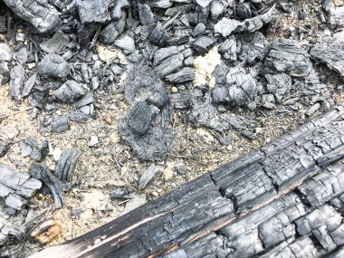 Yakılan ahşap günlükleri, yakacak odun, şömine, kömürleri