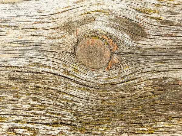 Contexte, texture de la vieille surface en bois — Photo