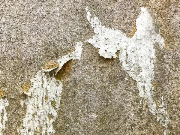 Paint peeling off wall — Stock Photo, Image