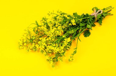 Grup kaynaklanıyor küçük sarı çiçekli