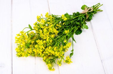 Grup kaynaklanıyor küçük sarı çiçekli