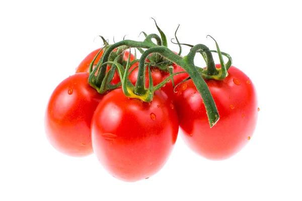 Rama de tomates aislados en blanco — Foto de Stock