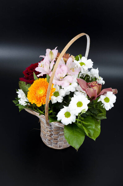 Bright spring flowers, composition on black background. Studio Photo