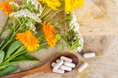 Geleneksel tıp konsepti, tıbbi bitkiler ve bitkisel kapsüller. Stüdyo Fotoğrafı