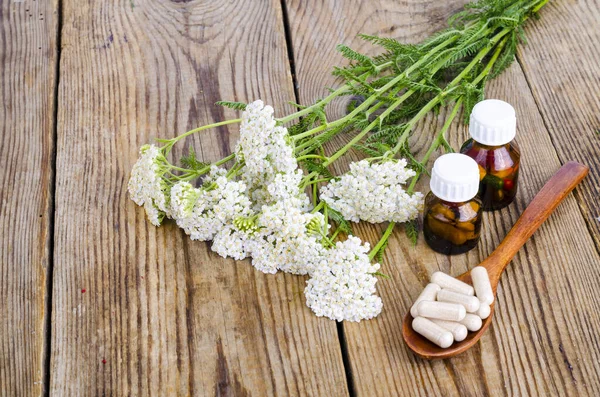 Traditional Medicine Concept Medicinal Plants Herbal Capsules Studio Photo — Stock Photo, Image