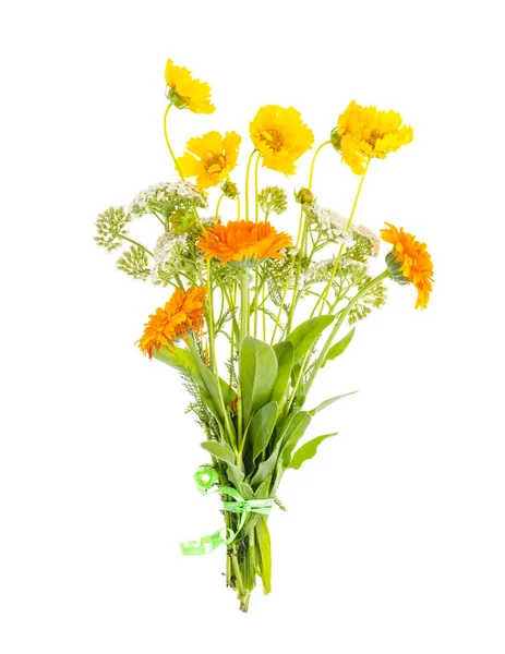 Ramo Flores Silvestres Color Naranja Sobre Fondo Blanco Estudio Foto —  Fotos de Stock