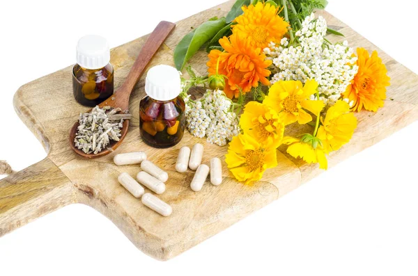 Traditional Medicine Concept Medicinal Plants Herbal Capsules Studio Photo — Stock Photo, Image