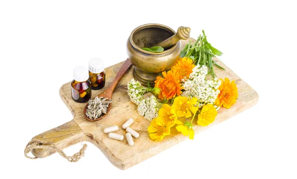 Traditional Medicine Concept Medicinal Plants Herbal Capsules Studio Photo — Stock Photo, Image