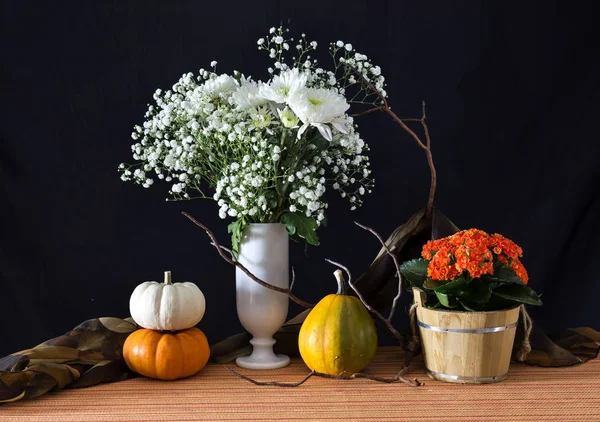 Zátiší s chryzantémy a dýně — Stock fotografie