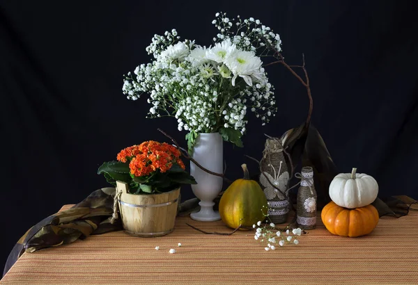 Stillleben mit Chrysanthemen und Kürbissen — Stockfoto