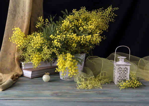 Mimoza dalları ile natürmort — Stok fotoğraf