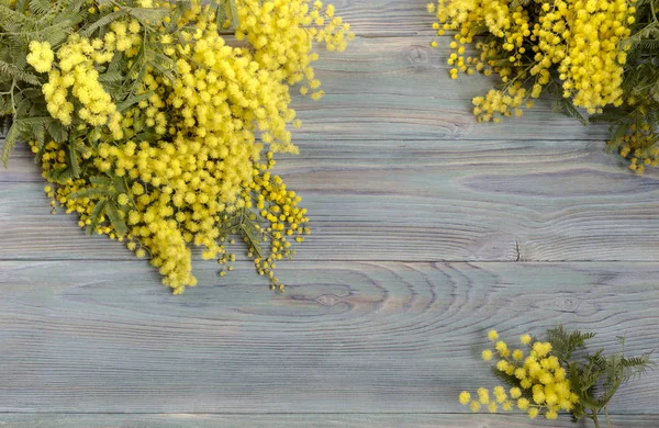 Mimosa sobre fondo de madera —  Fotos de Stock