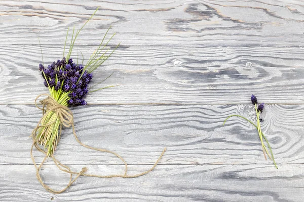 Muscari ahşap arka plan üzerinde