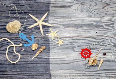 Kabukları ve denizyıldızı deniz arka plan