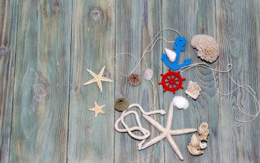 Kabukları ve denizyıldızı deniz arka plan