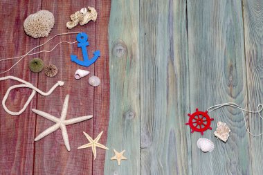 Kabukları ve denizyıldızı deniz arka plan