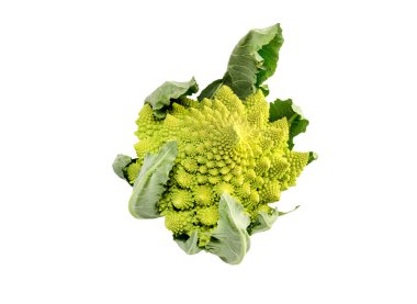 Lahana Romanesco (Brassica oleracea)