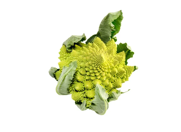 Col Romanesco (Brassica oleracea ) —  Fotos de Stock