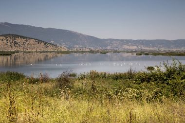 Hemaditida Gölü manzarası (Kuzeybatı Yunanistan, Makedonya)