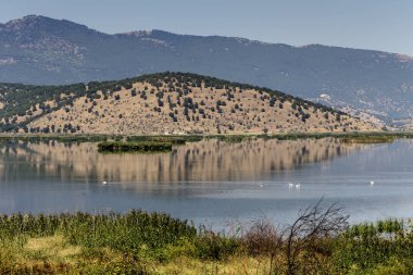 Göl Hemaditida görünümünü 