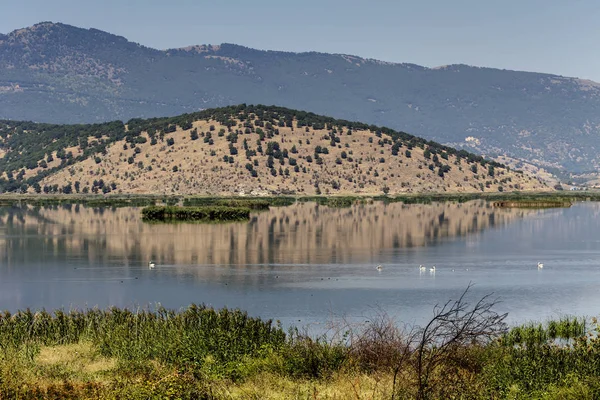 Göl Hemaditida görünümünü 