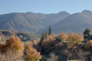 Sabahları dağ manzarası