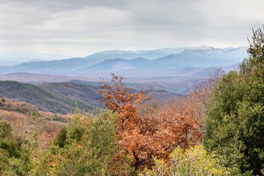 Kırsal ve ormanın panoramik manzaralı bir bulutlu kış gününde (Yunanistan, bölge Arcadia)