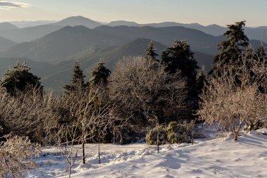 Kış manzarası. Uzaktan bir Ladin dağların panoramik ve buz kaplı ağaçlar bir kış akşamı gün batımında.