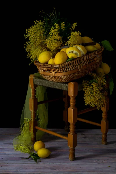 Натюрморт Свежими Ветвями Мимозы Лимонами Собирают Плетеной Корзине Деревянном Стуле — стоковое фото