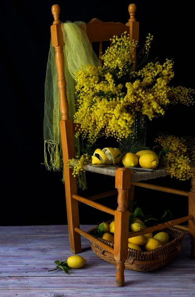 Bodegón Con Ramas Frescas Mimosa Una Silla Madera Limones Una — Foto de Stock